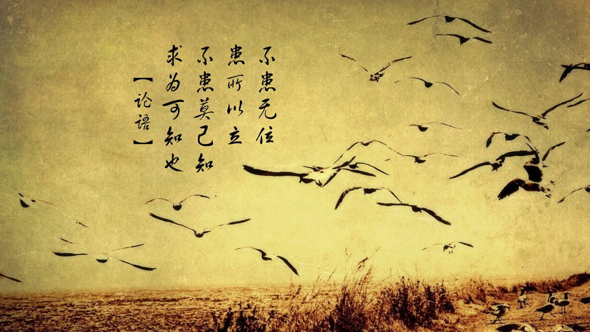 爱体育娱乐入口-CBA联盟发布新赛季球员评价体系，公平竞技更上层楼，cba球员评分