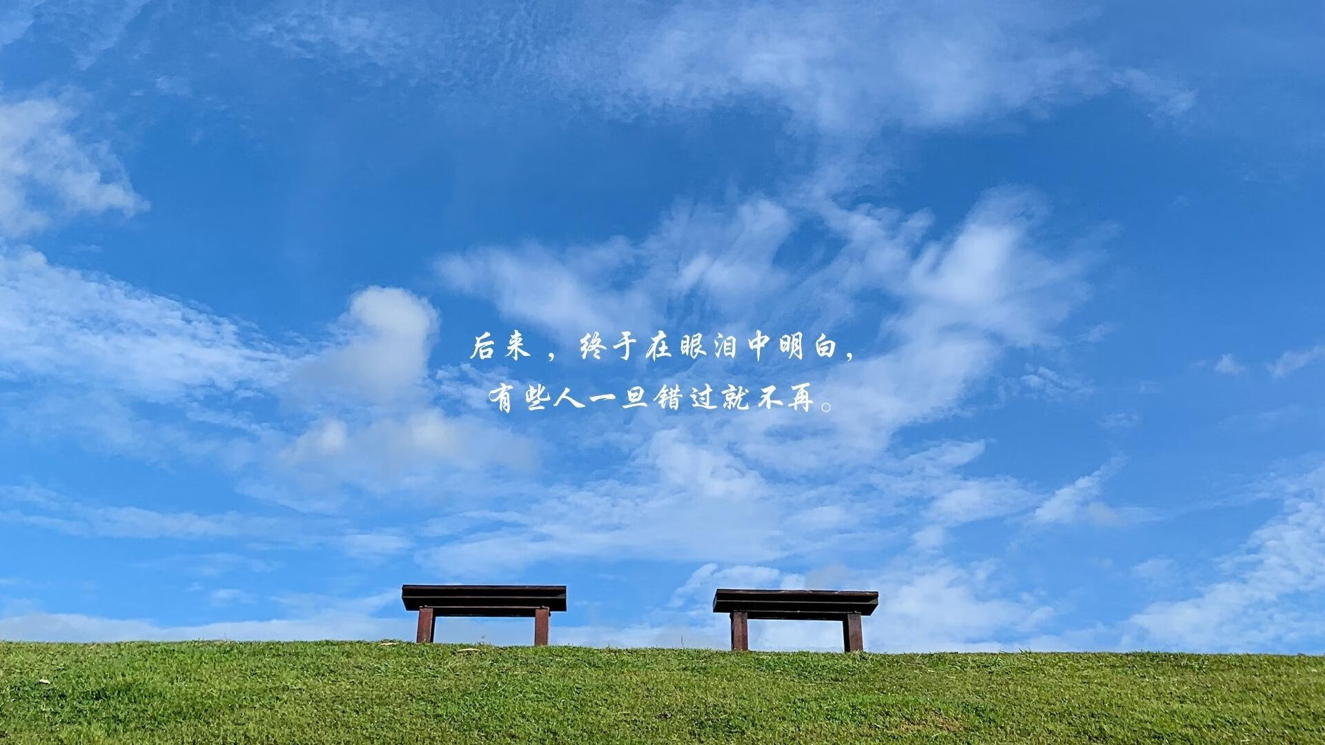 《粉丝互动:线上线下粉丝盛会精彩纷呈》,粉丝线下活动策划