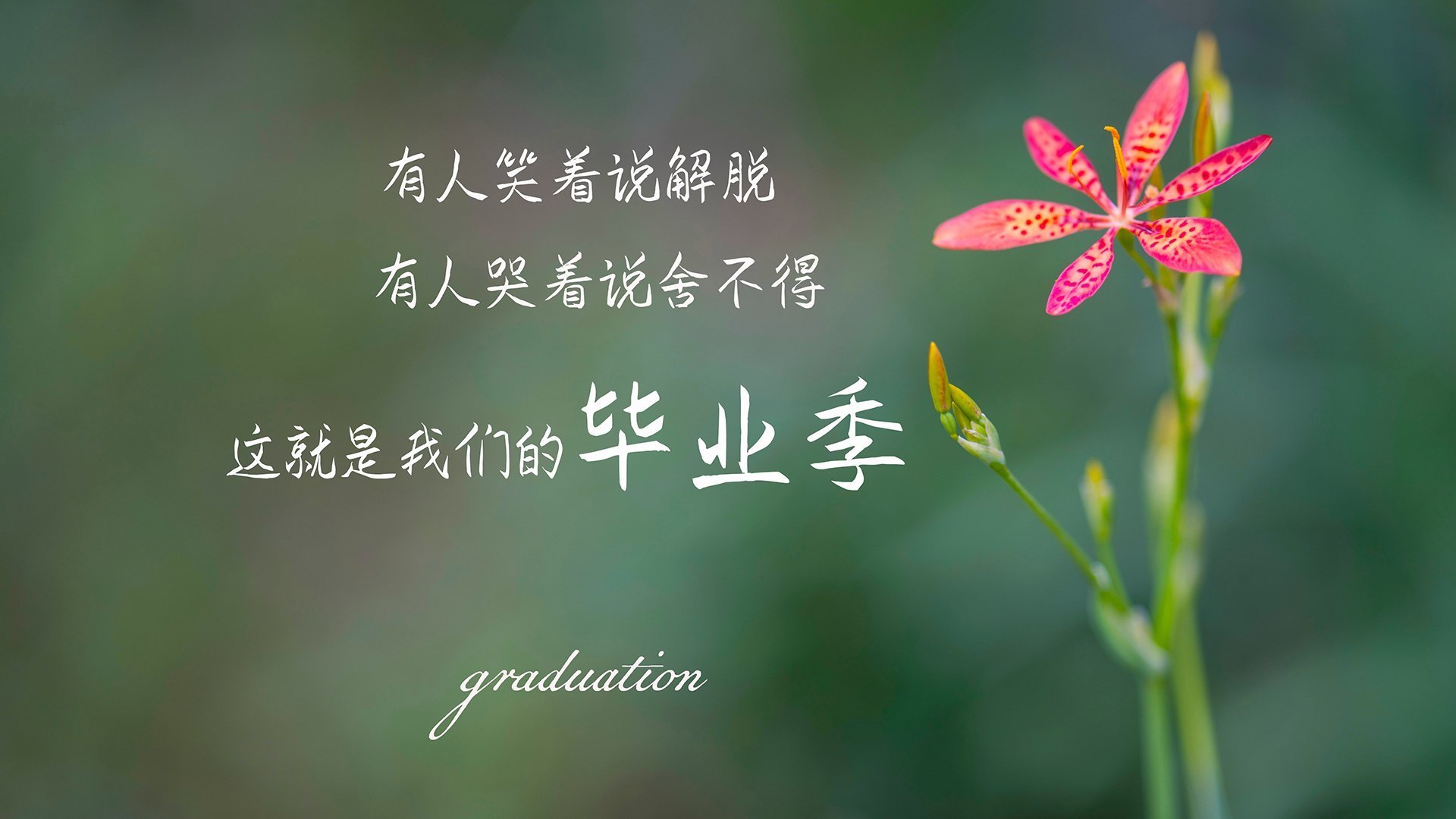 爱游戏电竞-下个周末,摩纳哥大奖赛开启激烈角逐,摩纳哥大奖赛直播