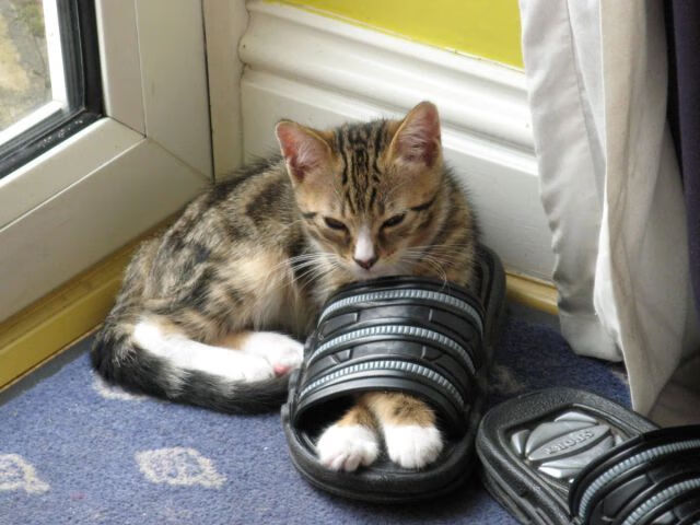 爱游戏体育官方在线-传统古老龙舟节，赛水技艺彰显民族精神，赛龙舟民俗活动介绍