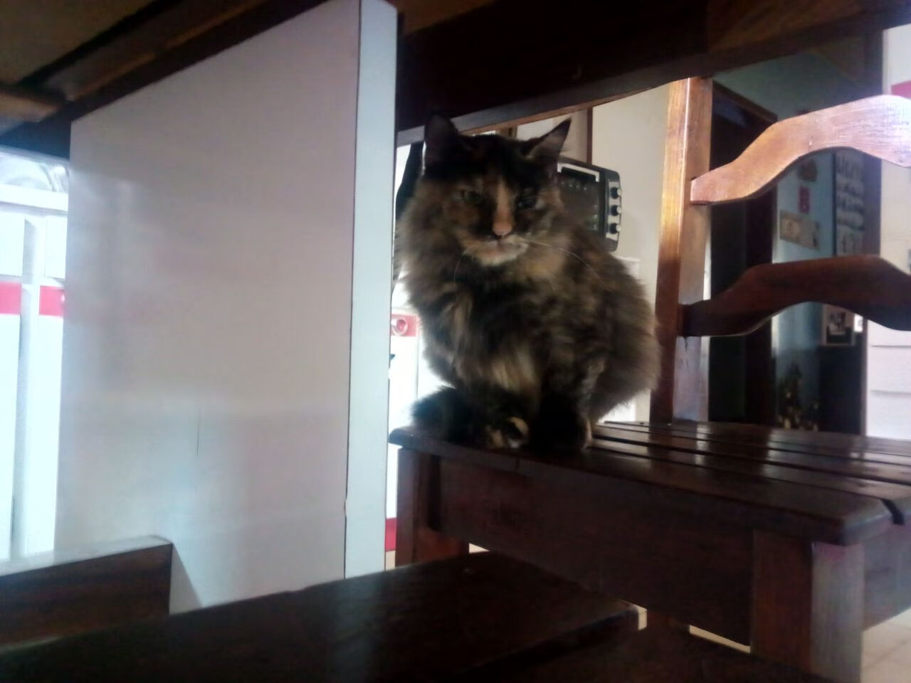 国足公布27人名单，备战世预赛关键战，国足最新23人名单出炉