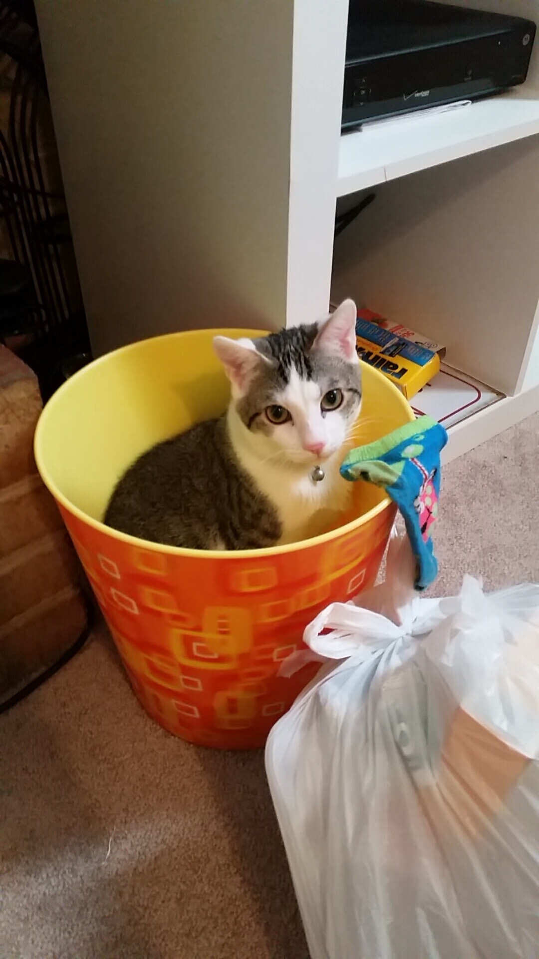 爱游戏电竞下载-惨烈角逐！争冠大战火药味十足，冠军悬念延续，争冠组对阵图