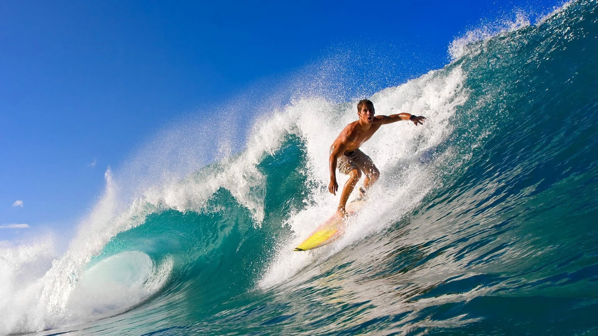 美洲杯精彩集锦：逆境逆袭的足球奇迹，美洲杯集锦视频